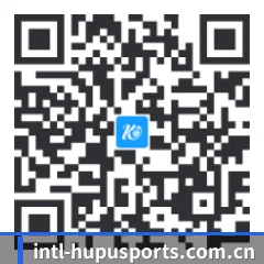 系统版 iOS 二维码